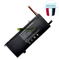 Vervangende batterij voor HIPAA S5 XU156 F4125 5583210P 10 gespen-7 lijnen (3-4)