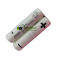 Vervangende batterij voor PLC 802839 4VER-C