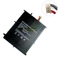 Vervangende batterij voor REMAX Rexbook REX141N/Y-128/256AA10 31152200P 7Lijnen