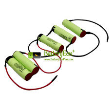 Vervangende batterij voor Electrolux 2941 3114 2942 3113 2943 ZB2904X
