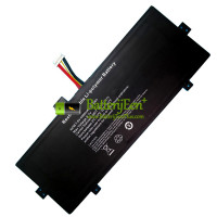 Vervangende batterij voor EVOO TEV-C-116-1