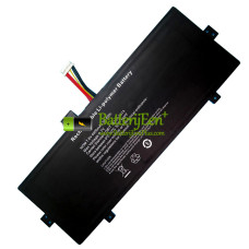 Vervangende batterij voor EVOO TEV-C-116-1