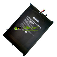 Vervangende batterij voor PDA 10Buckles-7Lines 28168243P