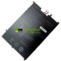 Vervangende batterij voor PDA 10Buckles-7Lines 3182185-2S1P