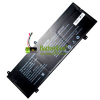 Vervangende batterij voor PDA 10Buckles-7Lines 419166