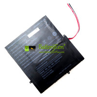 Vervangende batterij voor PDA 10Buckles-7Lines 4878145-2S1P