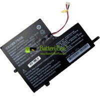 Vervangende batterij voor PDA 10Buckles-7Lines AEC4579114-2S1P