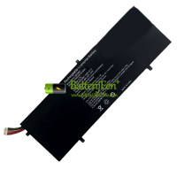 Vervangende batterij voor PDA 10Buckles-8Lines 3587265P