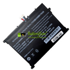 Vervangende batterij voor PDA 10Buckles-8Lines AEC326795-2S1P