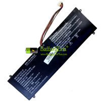 Vervangende batterij voor PDA 10Buckles-9Lines 4674118-2S