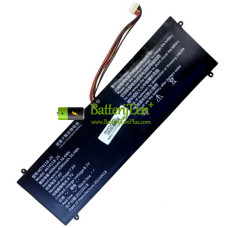 Vervangende batterij voor PDA 10Buckles-9Lines 4674118-2S