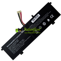 Vervangende batterij voor PDA 11Buckles-10Lines 4567250-2SP