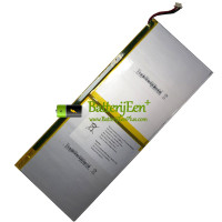 Vervangende batterij voor PDA 5Buckles-4Lines 2811288