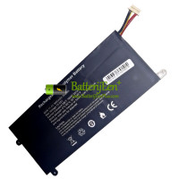 Vervangende batterij voor PDA 9Buckles-7Lines 536264-3S1P