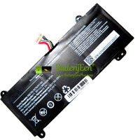 Vervangende batterij voor Sony 585755 VAIO