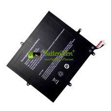 Vervangende batterij voor TOPOSH NV-2778130-2S P12