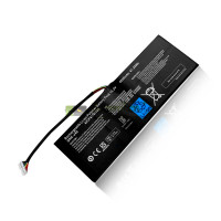 Vervangende batterij voor GIGABYTE P34G GNC-J40 XMG P34W 961TA013F